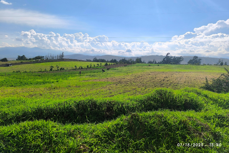 Quito: Latacunga, Pujilí, and Isinche Day Trip with Lunch