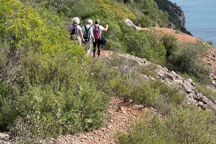 Image 6