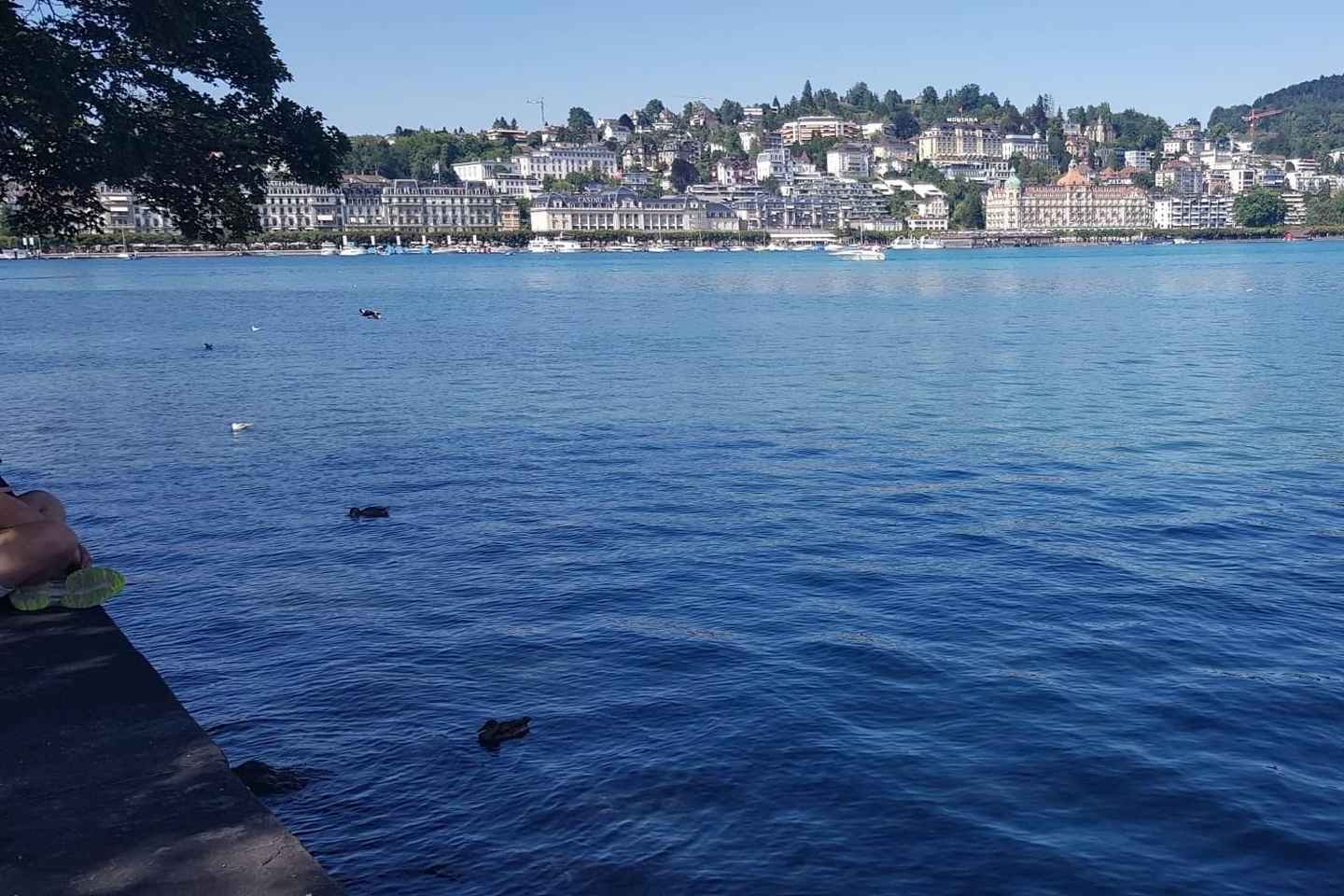 Transferencia Privada de Lucerna al Aeropuerto de Zúrich