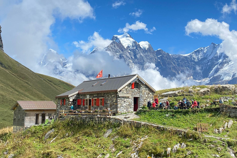 Interlaken: Scenic hiking tour from Mürren to Rotstock hut.