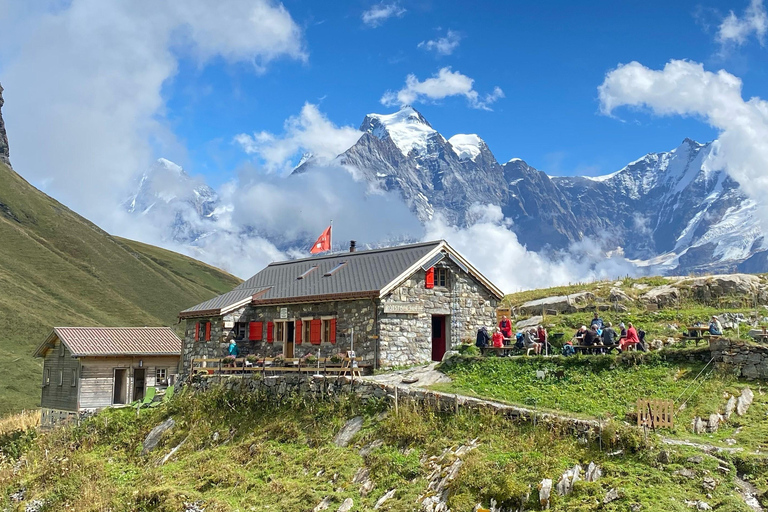 Interlaken: Scenic hiking tour from Mürren to Rotstock hut.