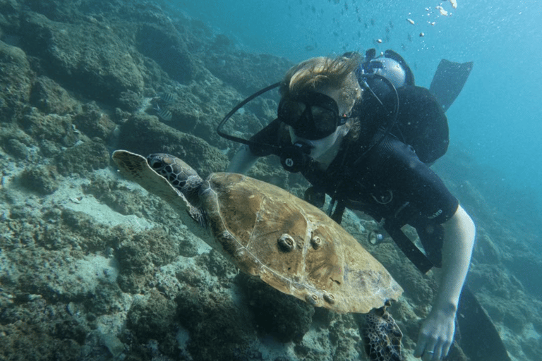 Oman: Discover Scuba Diving Experience