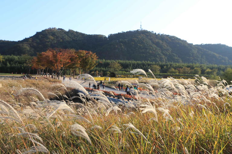 Pusan: Ulsan Taehwa River Garden - jesienna wycieczka z podziwianiem liściUlsan Autumn Foliage Group Tour, spotkaj się na stacji Haeundae