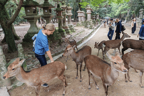 Nara: Private Custom Walking Tour with Local Guide 8-Hour