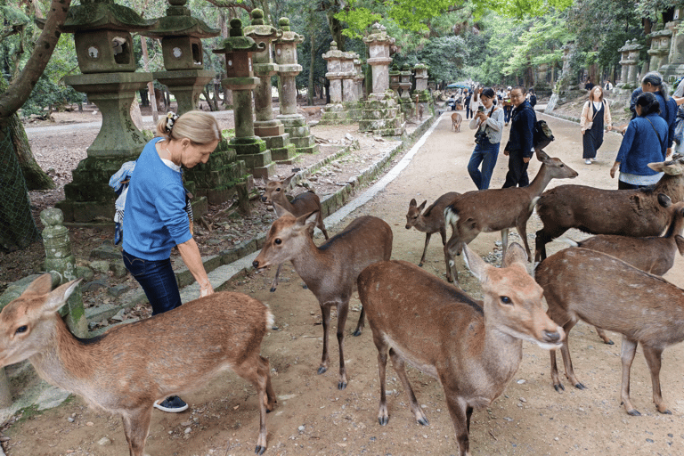 Nara: Private Custom Walking Tour with Local Guide 8-Hour