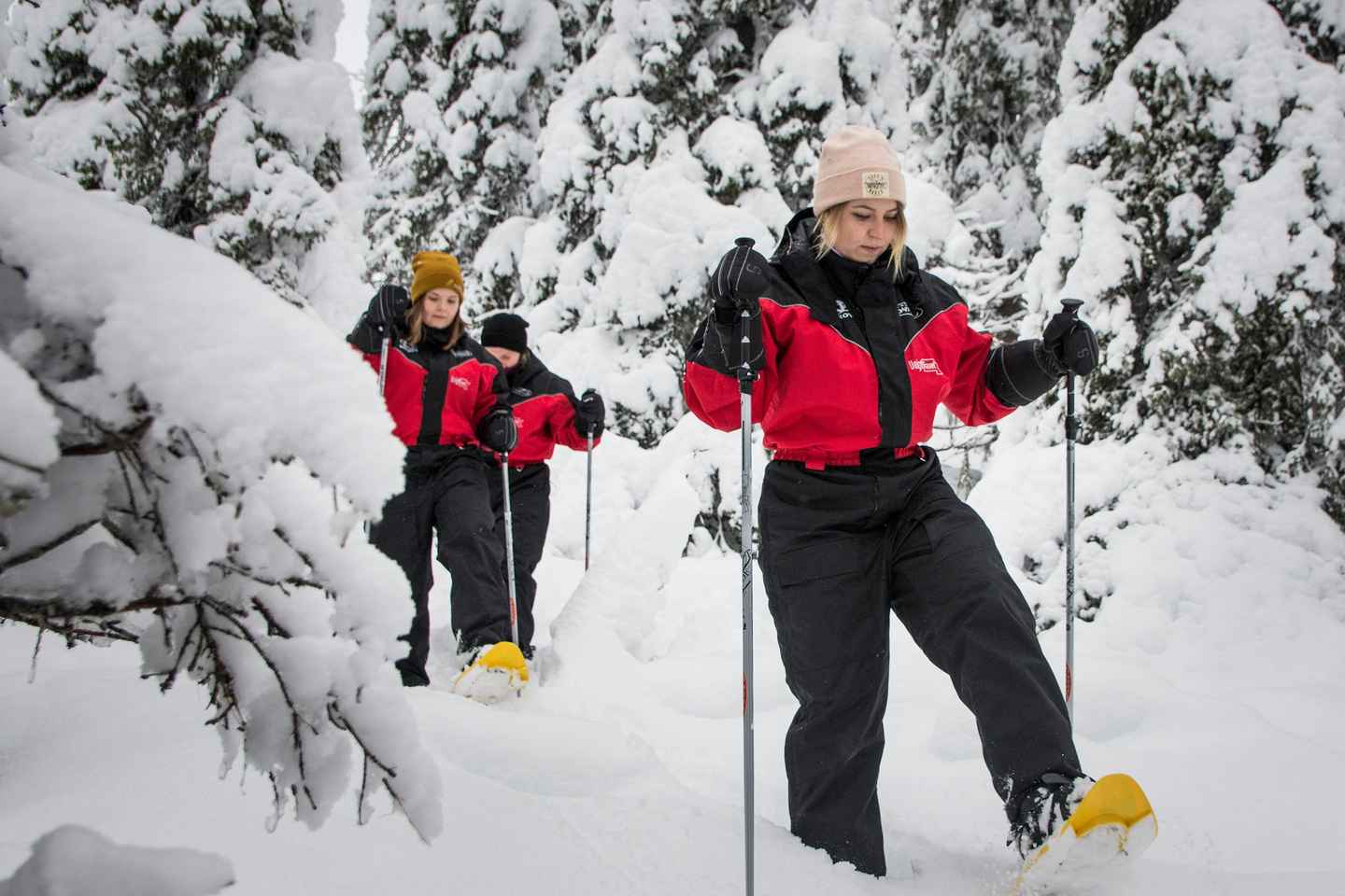 Ruka:Daytime winter wonderland hike