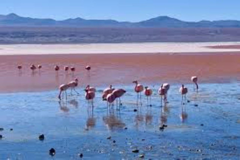 3 DAYS 2 NIGHTS SAN PEDRO DE ATACAMA UYUNI PRIVATE VIP