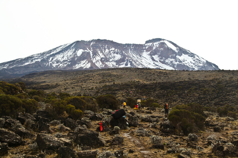 Trekking di 5 giorni sul Kilimangiaro attraverso la Via Marangu