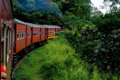 Ella to Ambewela Scenic Train Ride Ella to Ambewela train ride on (Train № 1005/1015)