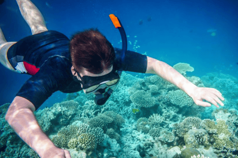 Phuket : Les îles Phi Phi, l'île aux Bambous et le lagon de Pileh ...