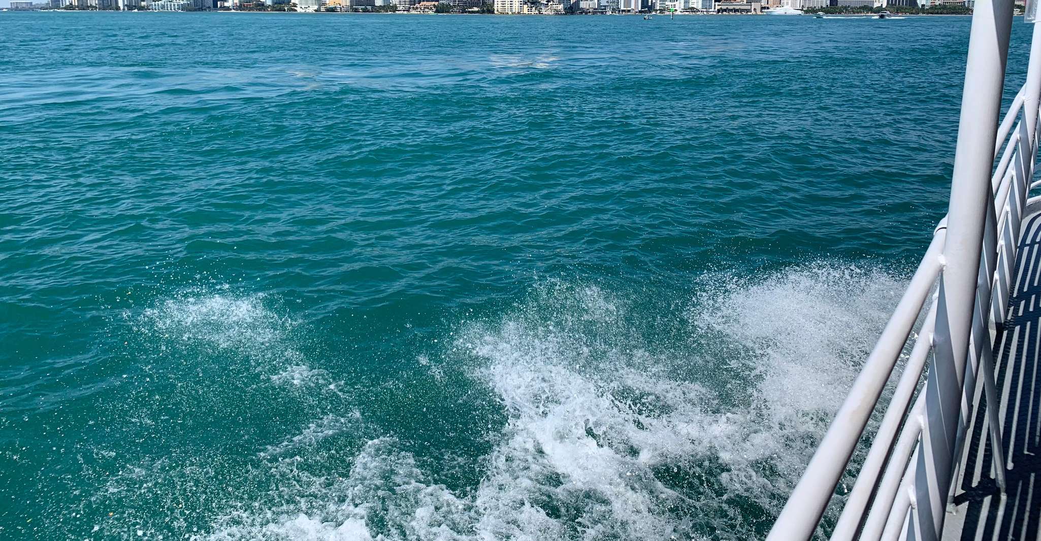 Miami: Skyline Sightseeing Cruise Millionaire Homes & River photo 7