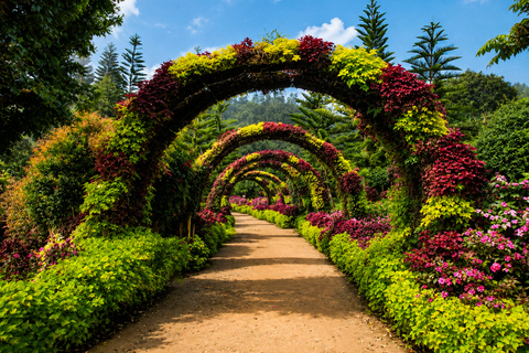 Cebu: Highlands Escape with Coffee Farm Experience