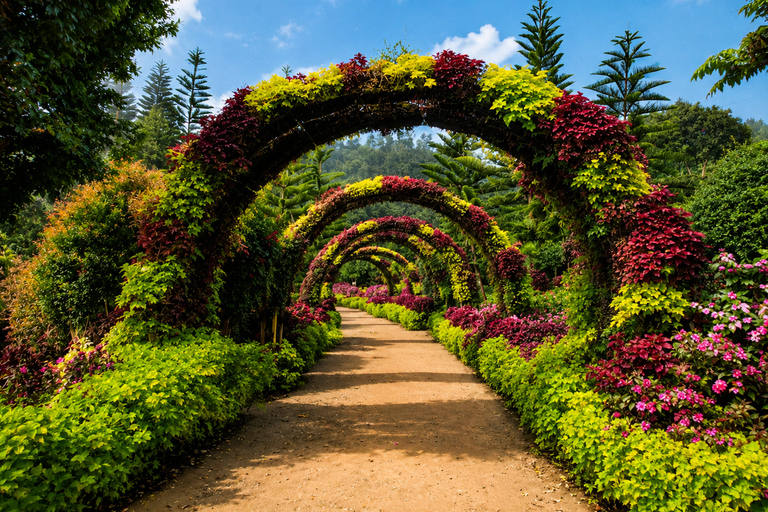 Cebu: Highlands Escape with Coffee Farm Experience