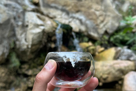 Santa Barbara: Nature Edition Trail Hike and Tea Ceremony