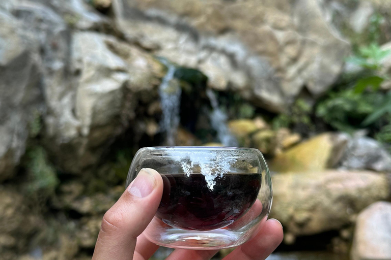 Santa Barbara: Nature Edition Trail Hike and Tea Ceremony
