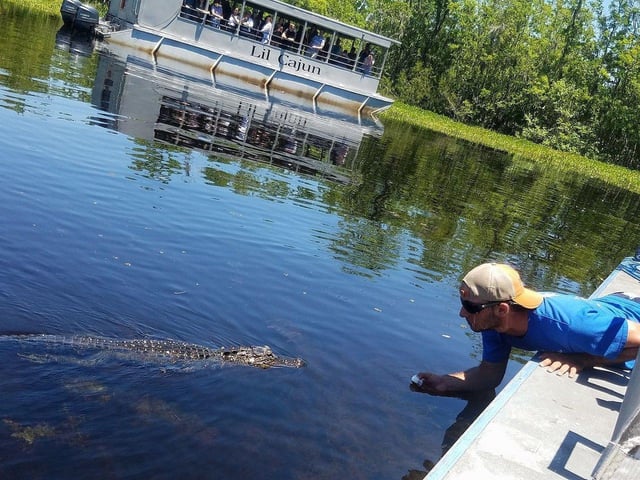 New Orleans: Guided Pontoon Swamp Tour with Wildlife Viewing