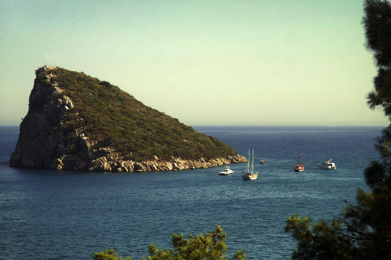 Antalya: Double Dive Scuba Adventure with Lunch & Transfer