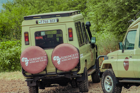 Zanzibar: 4-Day Mid-Range Safari Special for Honeymooners