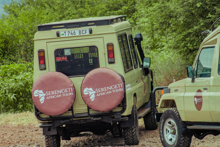 Zanzibar: 4-Day Mid-Range Safari Special for Honeymooners