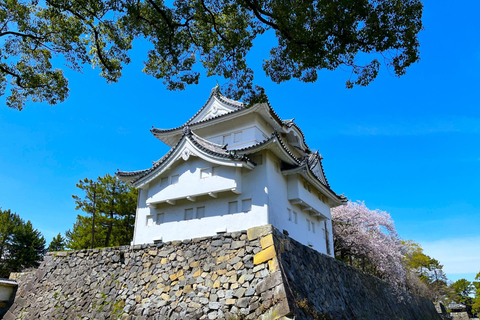 Kimono & Sakura Tour at Nagoya Castle
