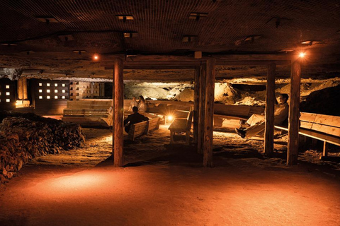From Linz: Hallstatt Salt Mine & Skywalk Private Tour