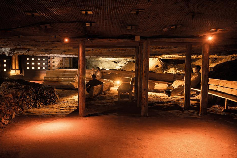 From Linz: Hallstatt Salt Mine & Skywalk Private Tour