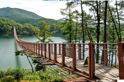 DMZ Civilian Control Zone+Suspension Bridge_Private GuideDMZ+Lake Majang Suspension Bridge