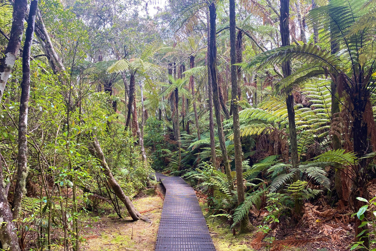 Von Auckland aus: Waitomo-Höhle und Orakei Korako Gruppentagestour