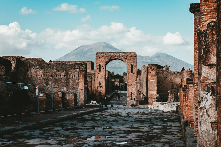Amalfi, Pompeii, Positano Day Trip with Limoncelo From Rome From Rome:Amalfi, Pompeii & Positano Day Trip with Limoncelo