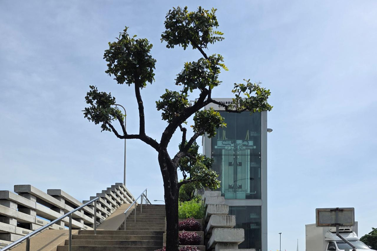 Bangkok: Old City Electric Tuk-Tuk Tour with Guide Private Tour no pick up