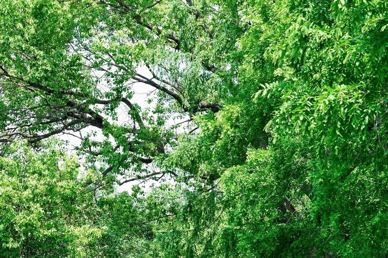 Shanghai: Sheshan Hill Private Tour with Hotel Pickup