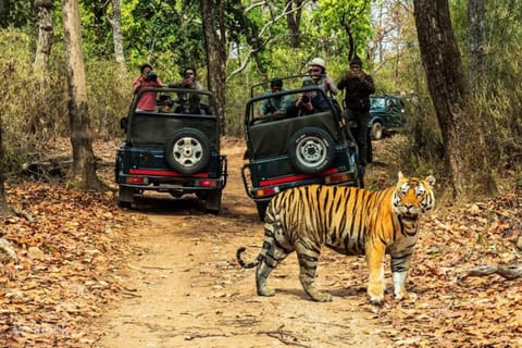 From Delhi: 6-Day Golden Triangle Tour with Ranthambore