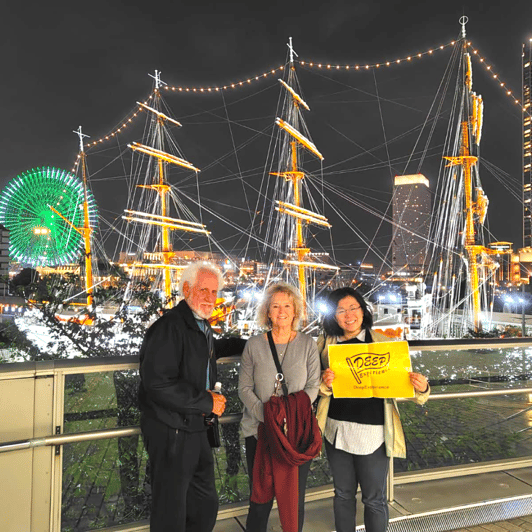 Yokohama: Night Tour with Chinatown and Harbor Views