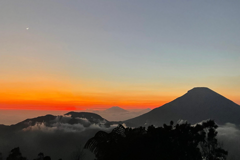 Yogyakarta: Mount Prau Golden Sunrise Hike and Summit Coffee All-Inclusive Mount Prau Sunrise Experience