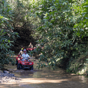 Guanacaste: Off-Road ATV-Quad Herausforderung
