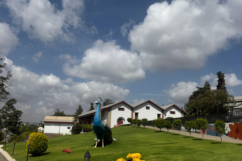Addis Ababa Layover Tour: Unity Park, Coffee & Local Lunch
