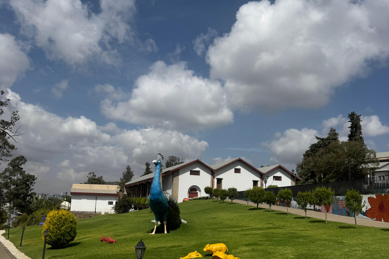 Addis Ababa Layover Tour: Unity Park, Coffee & Local Lunch