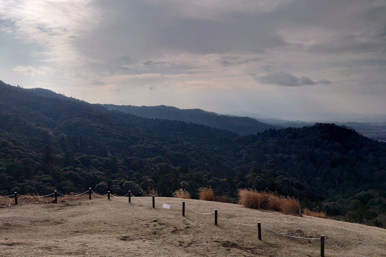 Nara: Mt. Wakakusa Family Picnic Trail with Guide