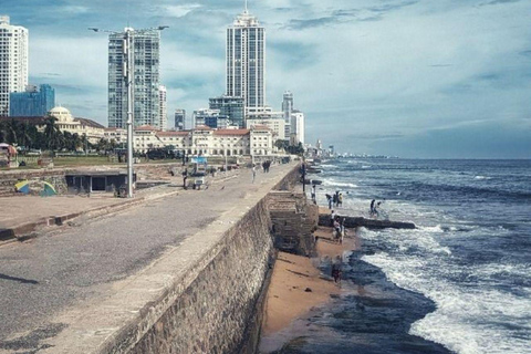 Muthurajawela Bird Watching Boat Tour & Colombo City Tour Tour from Bentota, Ahungalla, Hikkaduwa