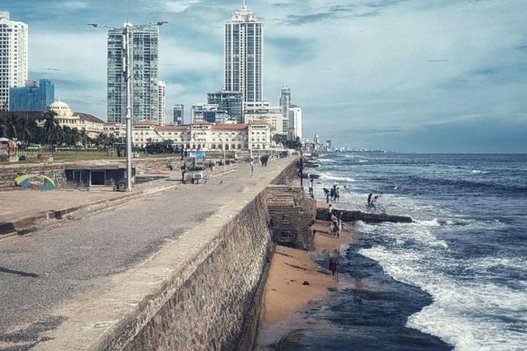 Muthurajawela Bird Watching Boat Tour & Colombo City Tour Tour from Bentota, Ahungalla, Hikkaduwa