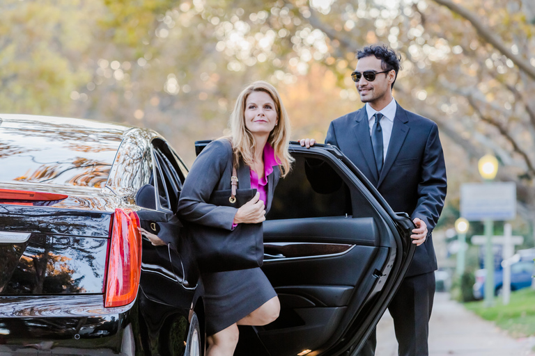 Orlando: MCO Private Transfer Airport to Hotel Orlando: Airport Private Minivan to Orlando Hotels