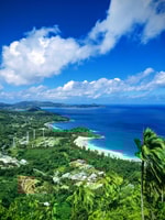 Jungle Adventure Hike,Climb, Waterfall, Discover Seychelles! - Housity