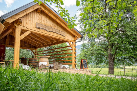 Bled Winter Trip: Vintgar Gorge Waterfall &amp; Slovenian Lunch