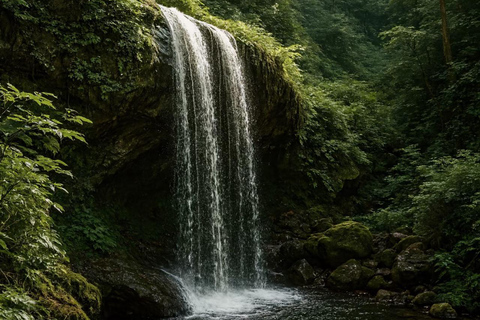 Chengdu: Qingcheng-berg, Dujiangyan en Sichuan-operaQingcheng Mountain, Dujiangyan&amp;SiChuan Opera All-Inclusive