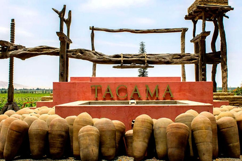 Ica; Vino, pisco y experiencia en buggy