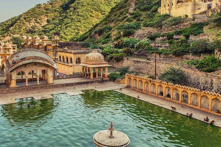 Jaipur: Privat heldags sightseeingturSightseeing i Jaipur samma dag