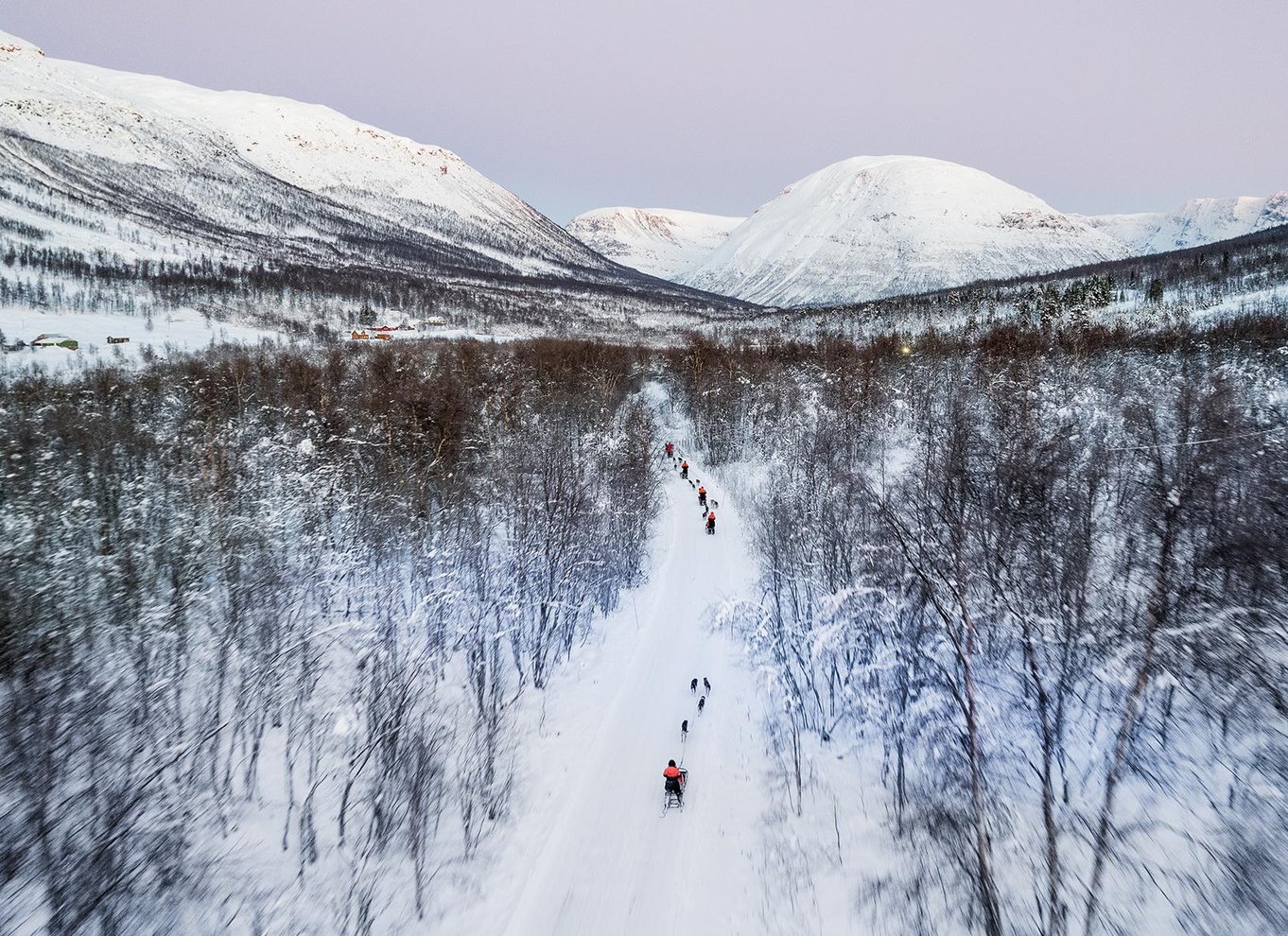 Fra Tromsø: Hundeslædeeventyr i Tamokdalen
