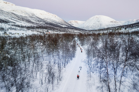 From Tromsø: Dog Sledding Adventure in Tamokdalen Dog Sledding Adventure in Tamokdalen: Midday Departure