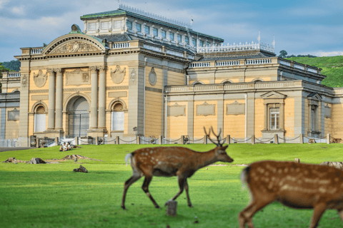 奈良：专业摄影和徒步导览