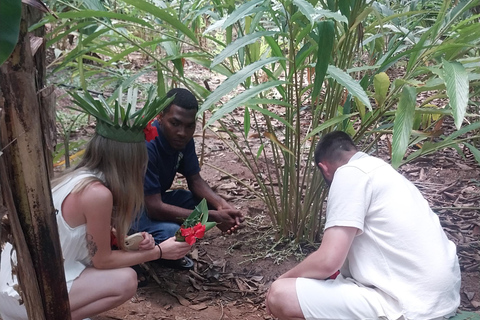 Zanzibar: Wycieczka korzenna z lunchem